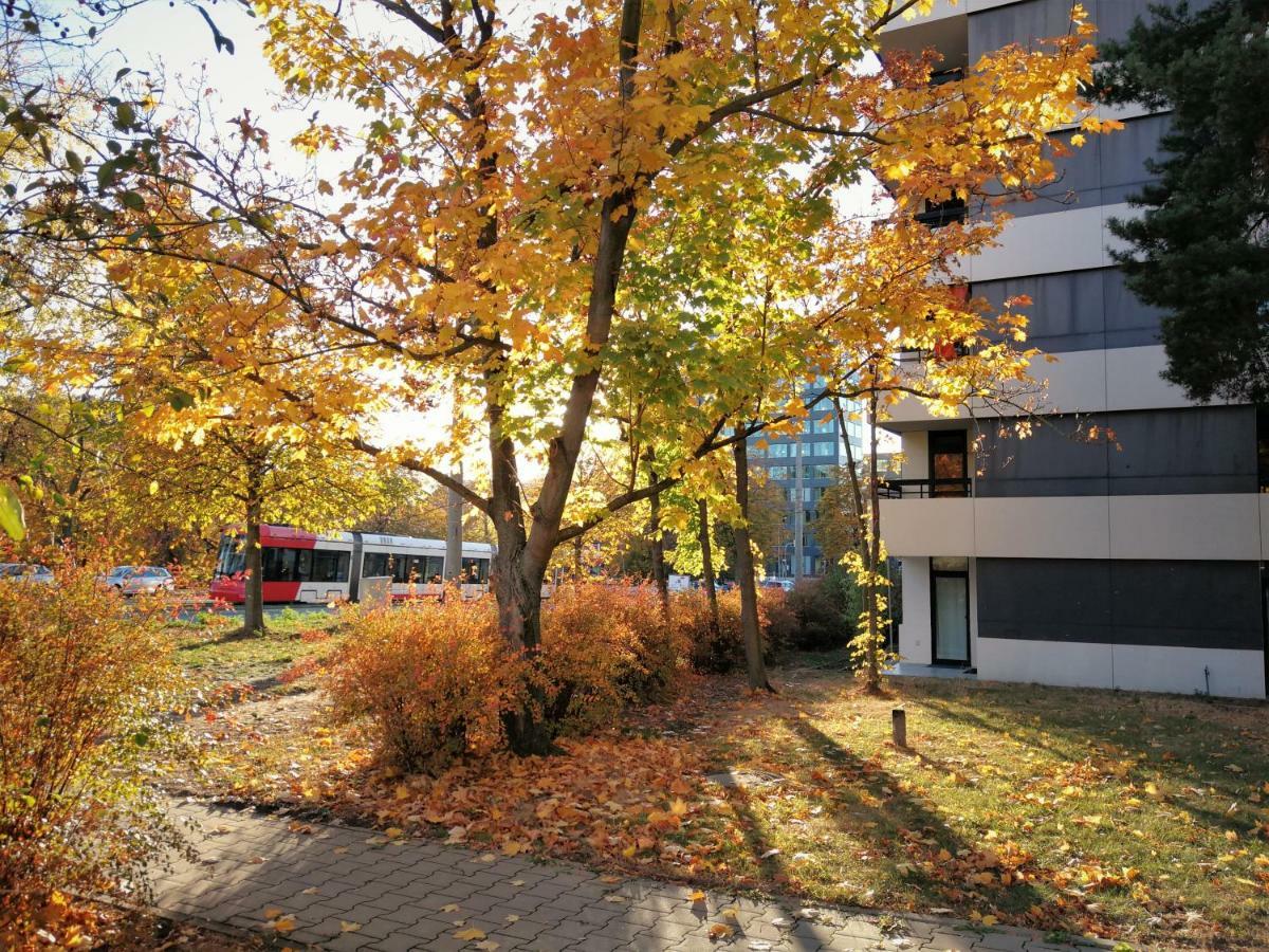 Central-Apt At Lake, Citycenter 5Min, Fair 18Min!!! Nuremberg Bagian luar foto